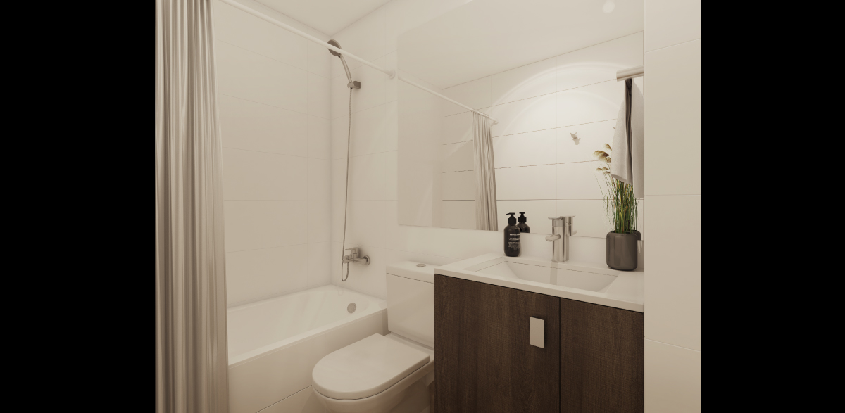 Galeria proyecto paz