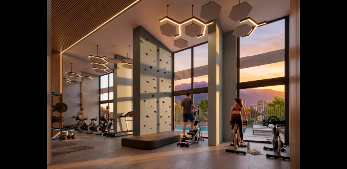 Galeria proyecto paz