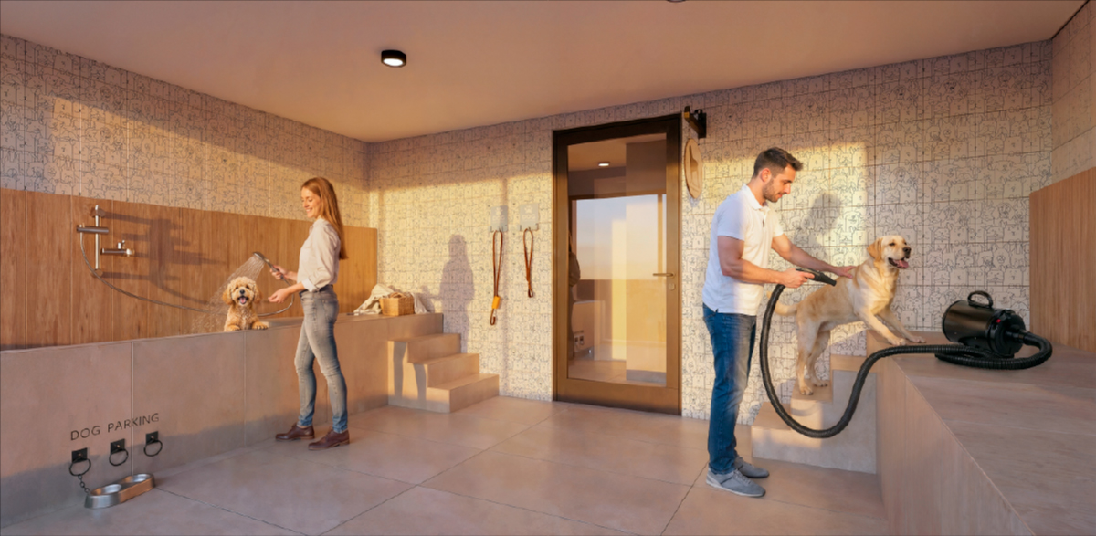 Galeria proyecto paz