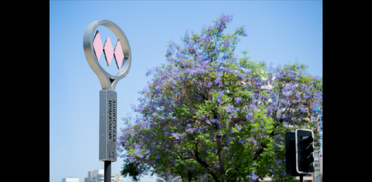 Galeria proyecto paz