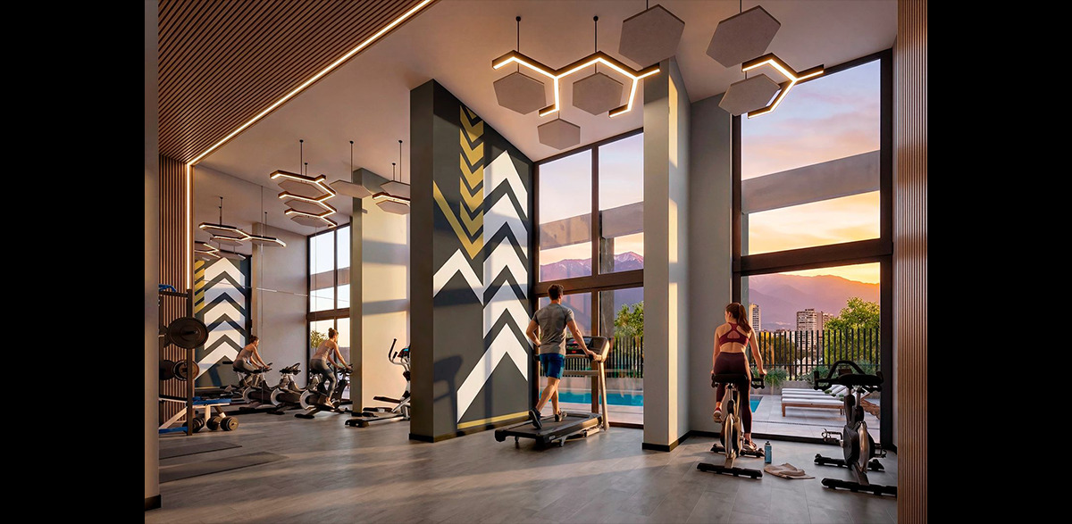 Galeria proyecto paz