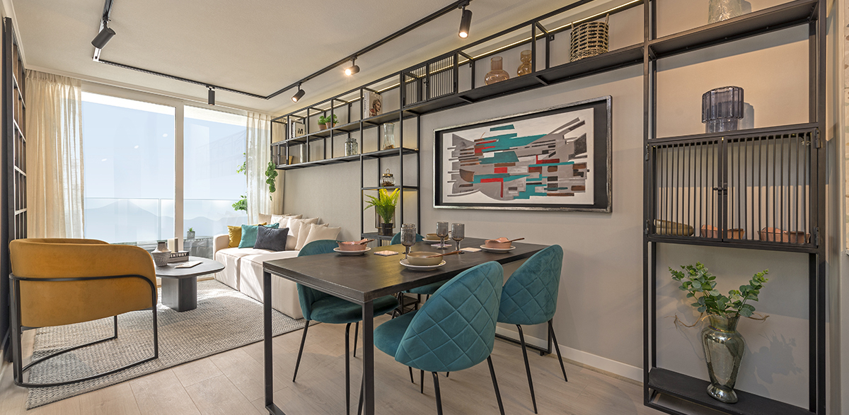 Galeria proyecto paz